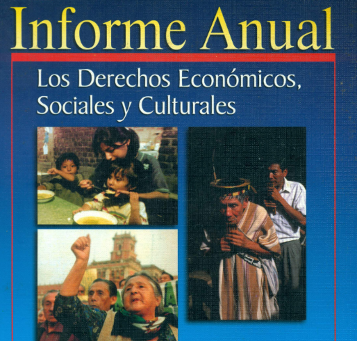 Portada de Informe Anual Los derechos económicos, sociales y culturales