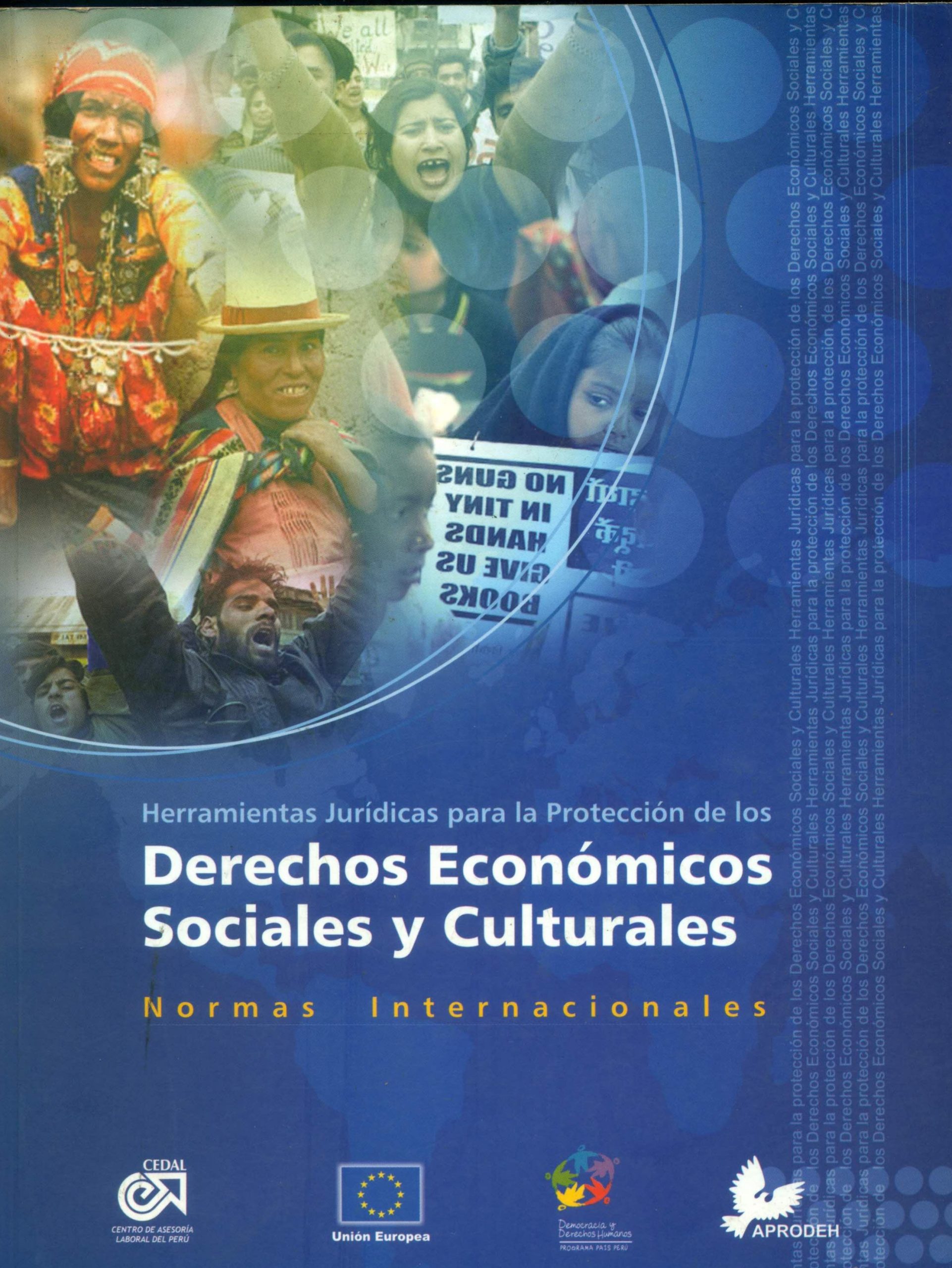 Portada de Herramientas juridicas para protección DESC Internacionales