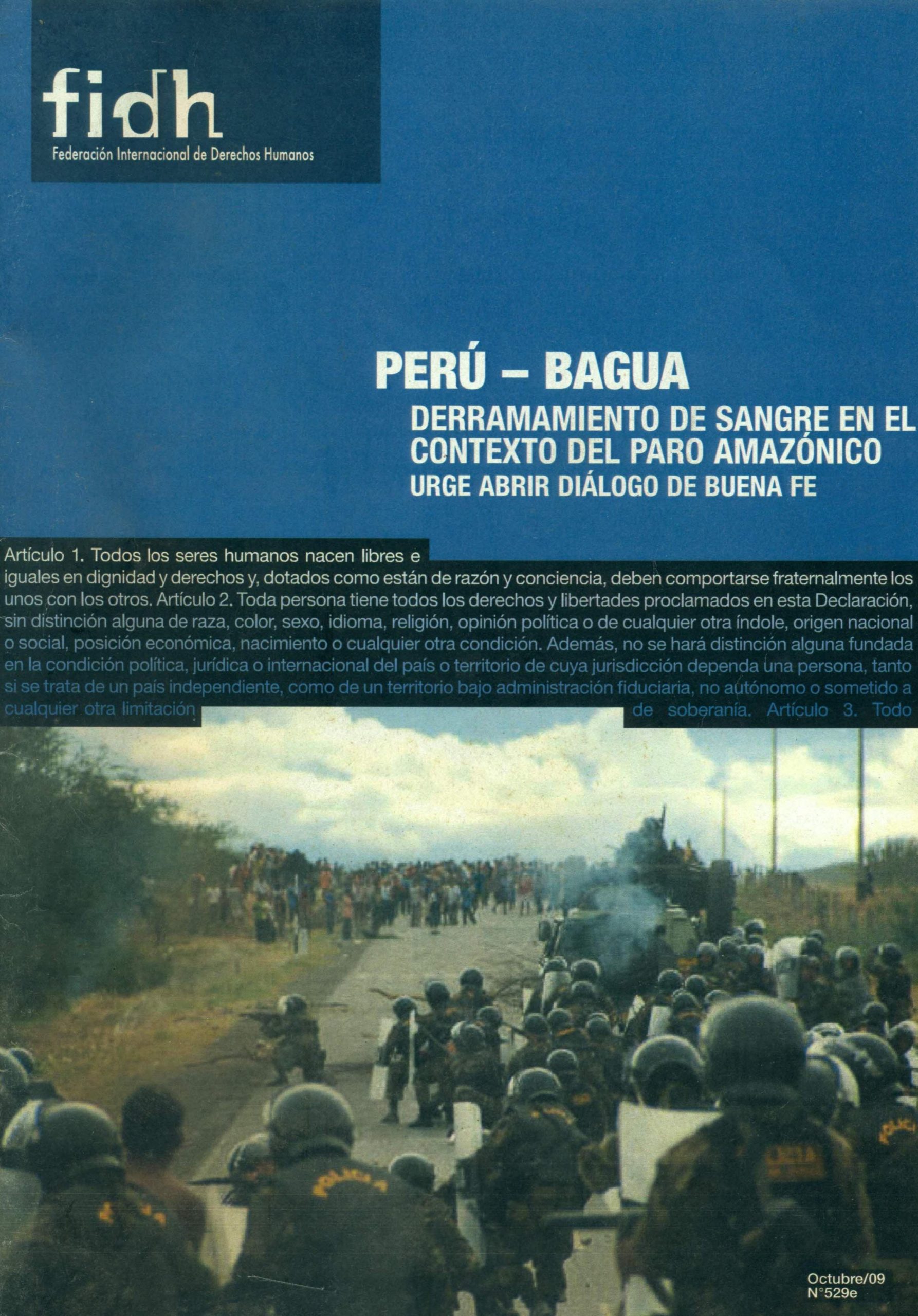 Portada de Informe FIDH Bagua