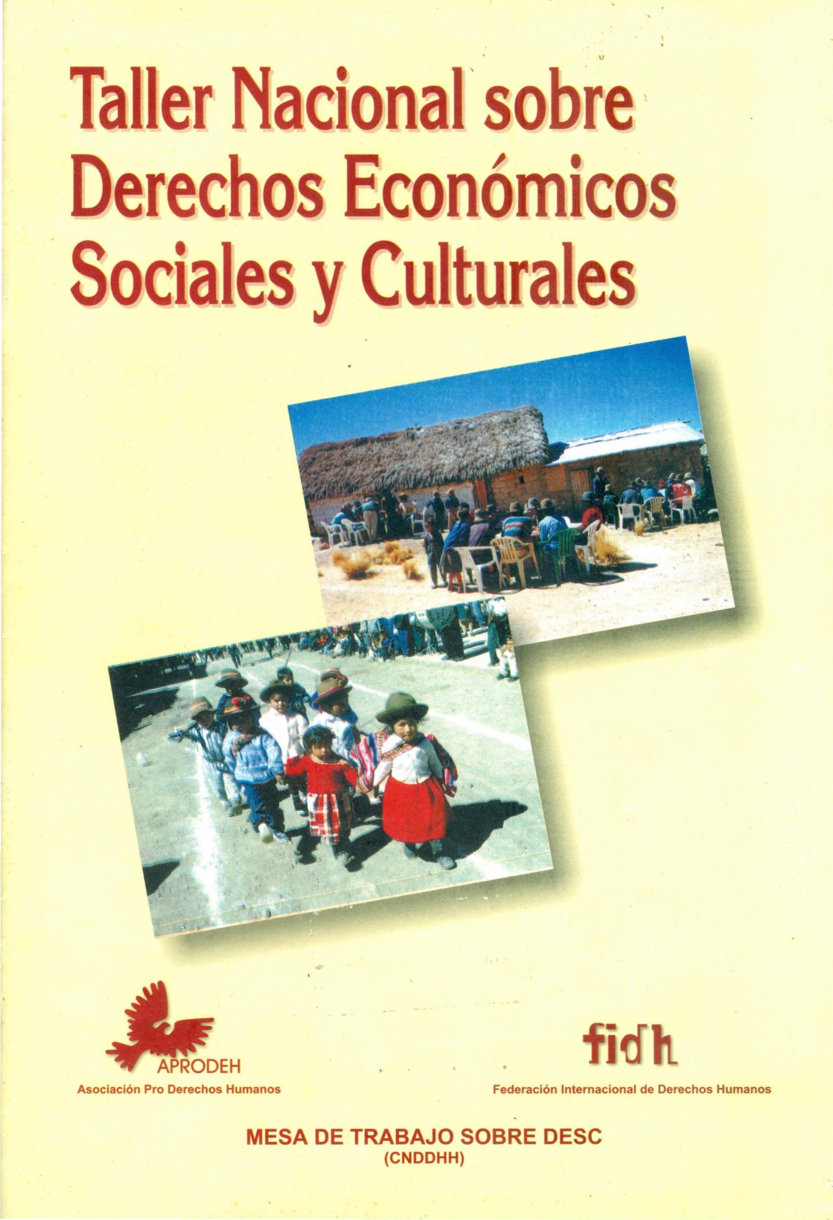 Portada de Taller Nacional sobre DESC