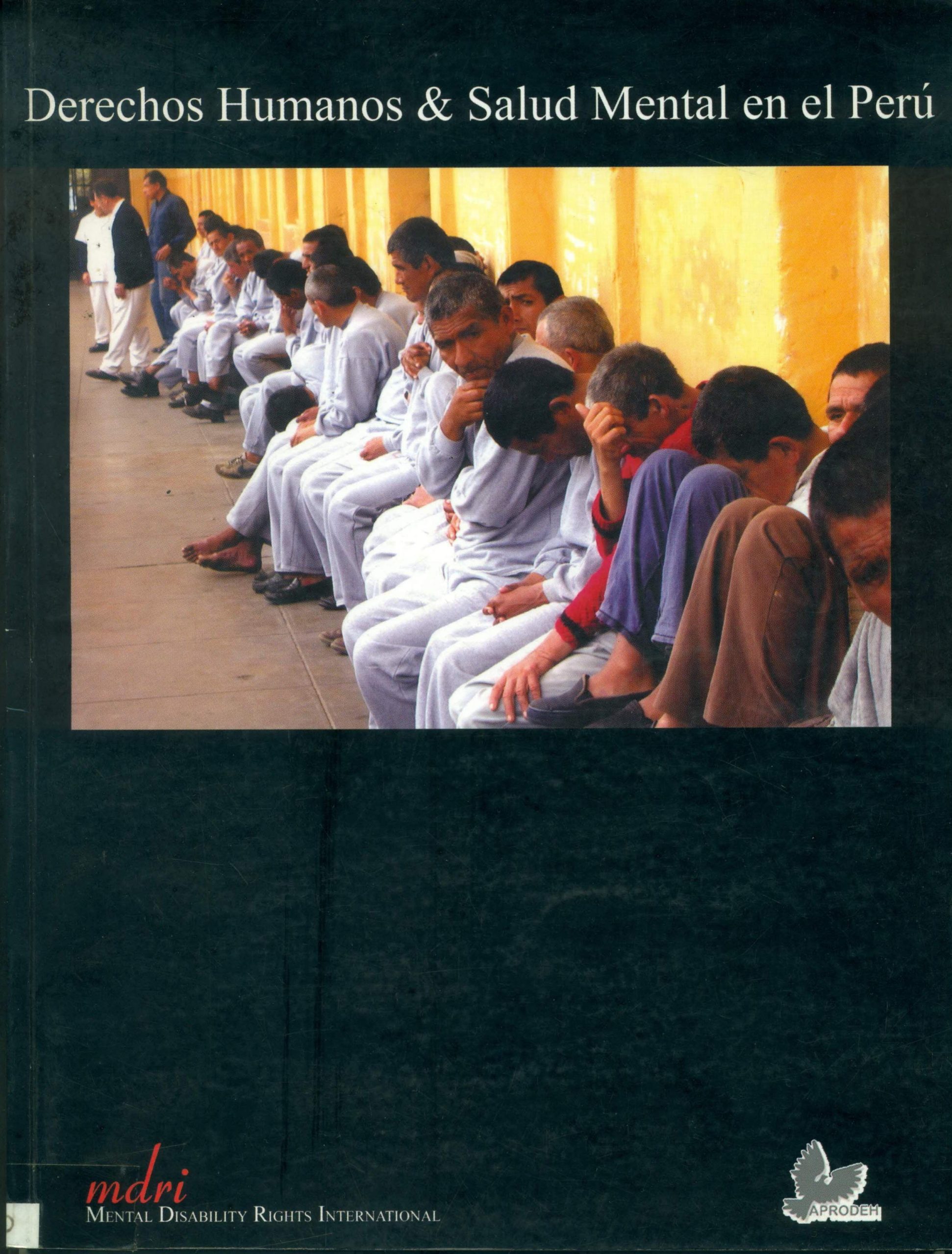 Portada de Derechos humanos y salud mental en el Perú