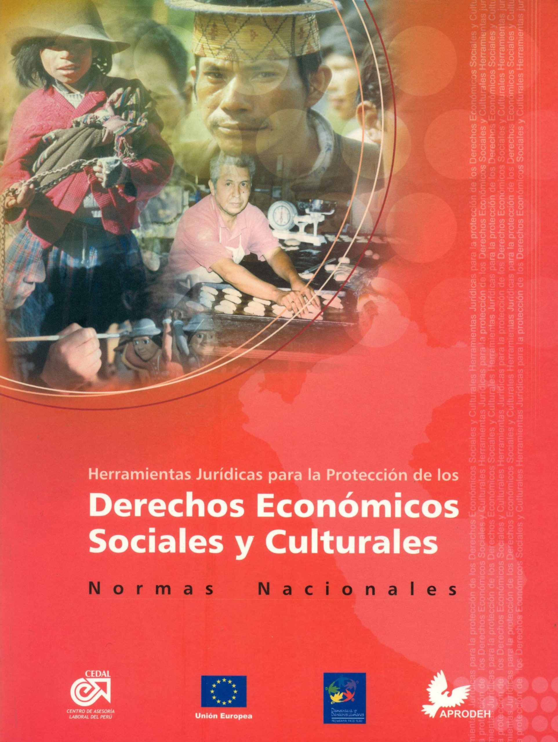 Portada de Herrameintas juridicas para la protección de los DESC
