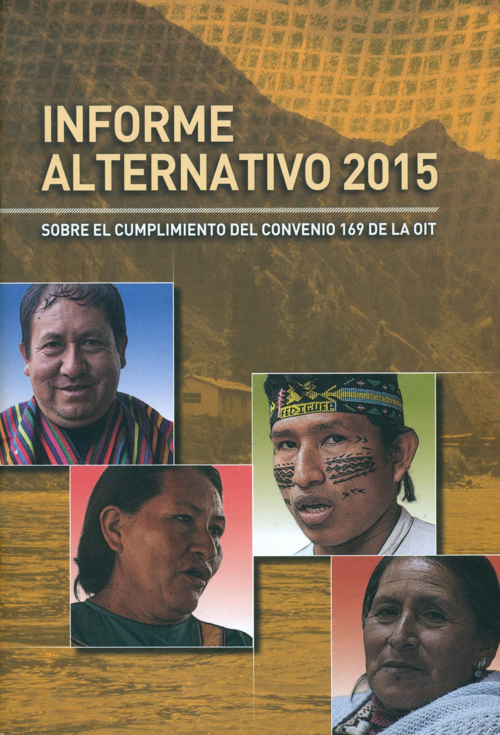 Portada de Informe alternativo 2015