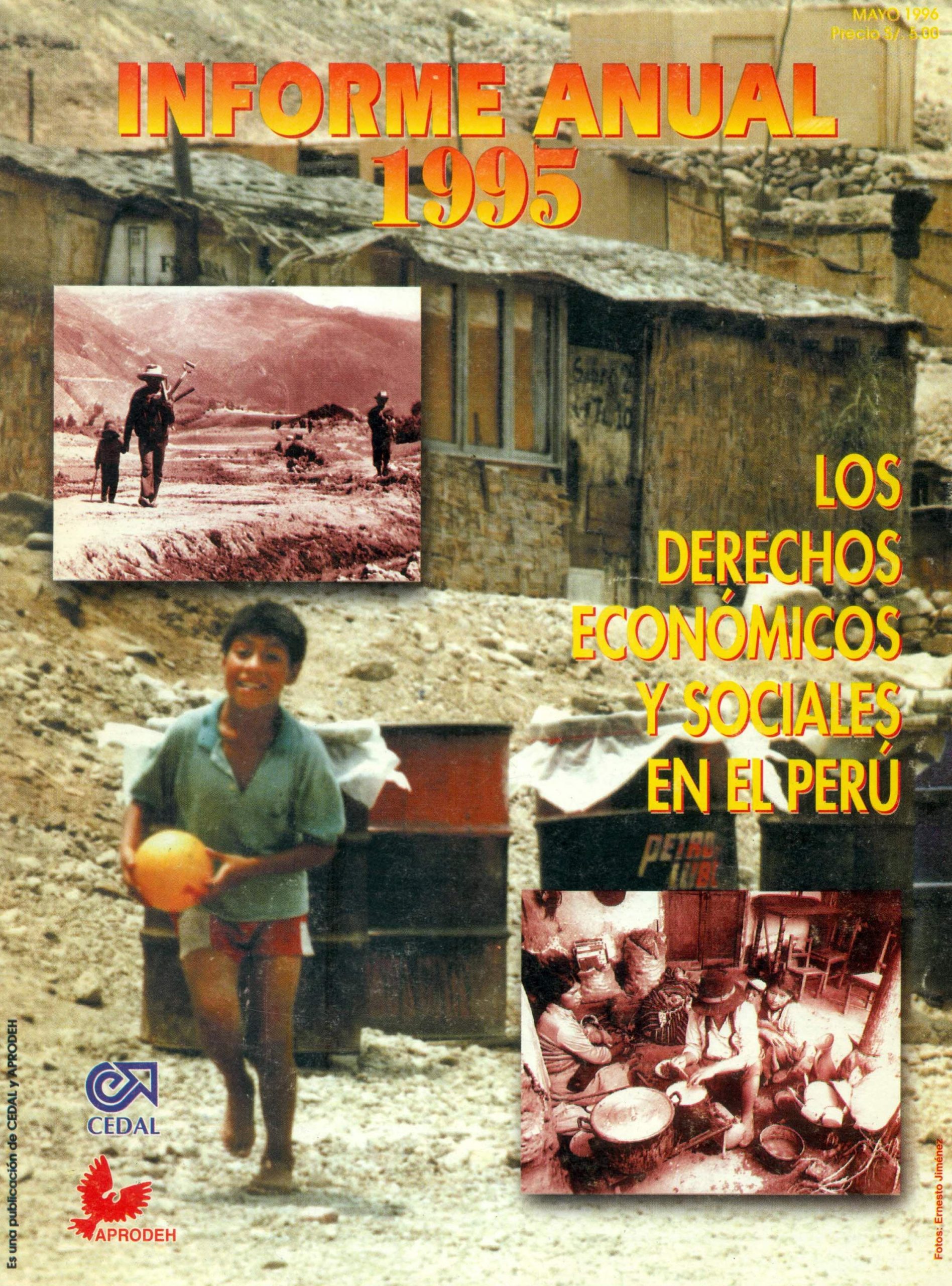 Portada de Informe anual 1995