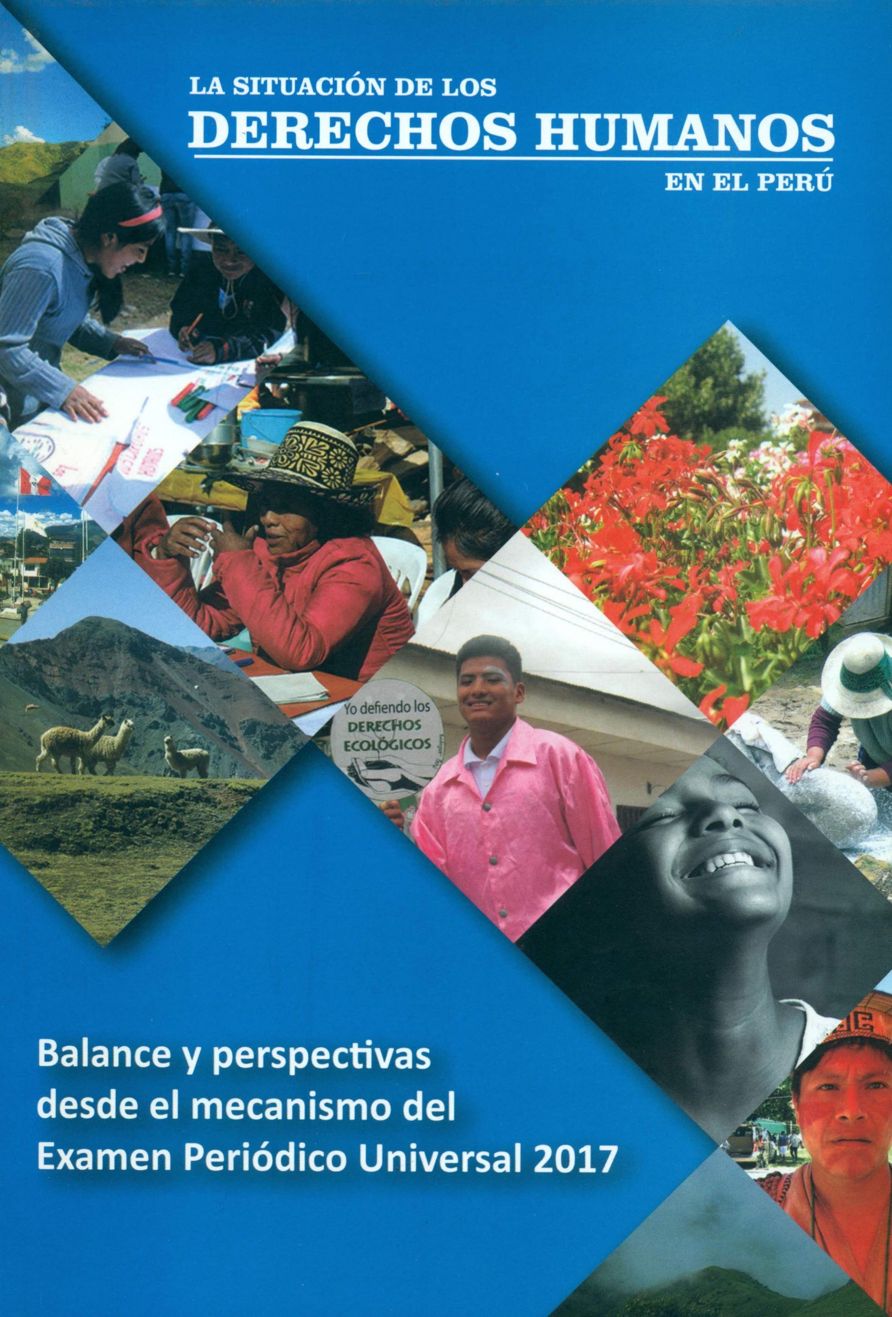 Portada de La situación de los derechos humanos en el perú